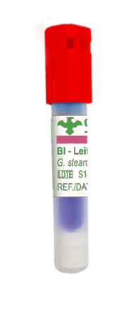 Indicador Biológico
